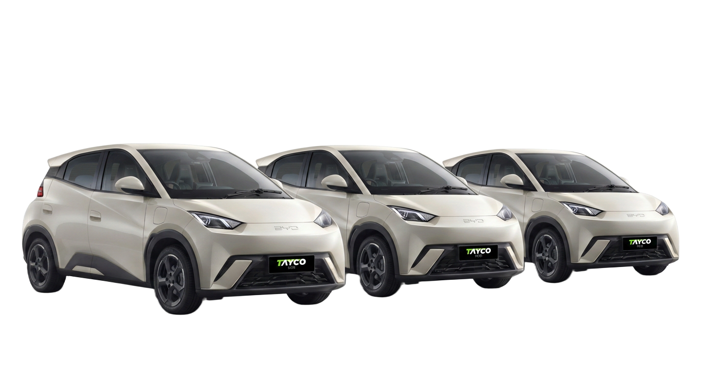 Frota BYD Dolphin Mini Tayco Mob